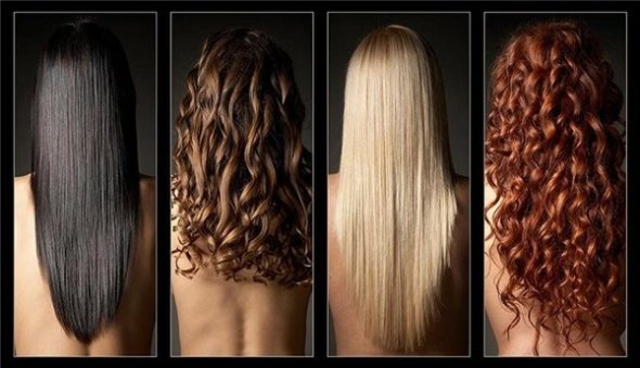 Сколько волос должно выпадать в день? – Плацент Формула